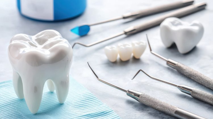 Dental tools and tooth models used in Root Canal Therapy.
